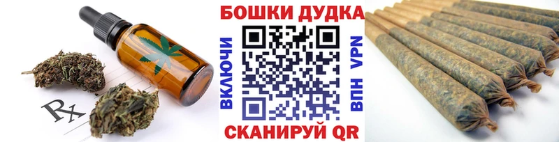 Купить где  Нижний Новгород  Canna-Cookies конопля 