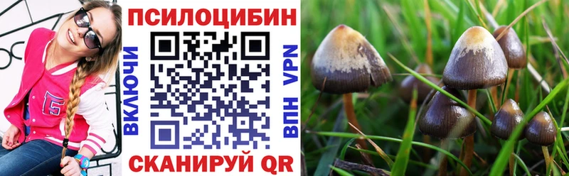 Псилоцибиновые грибы ЛСД  Купить закладки  Нижний Новгород 